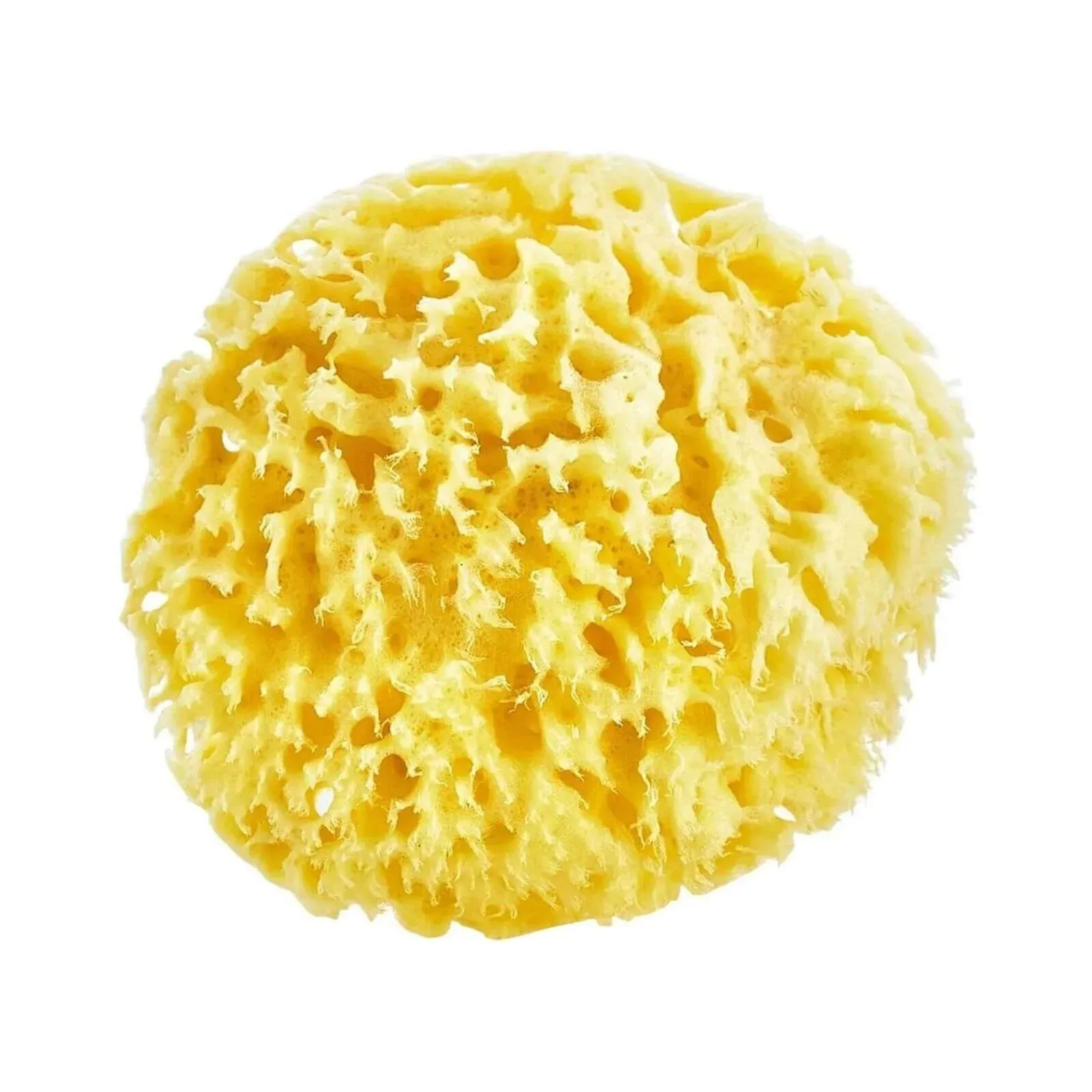 Babyjem Natural Sea Bath Sponge