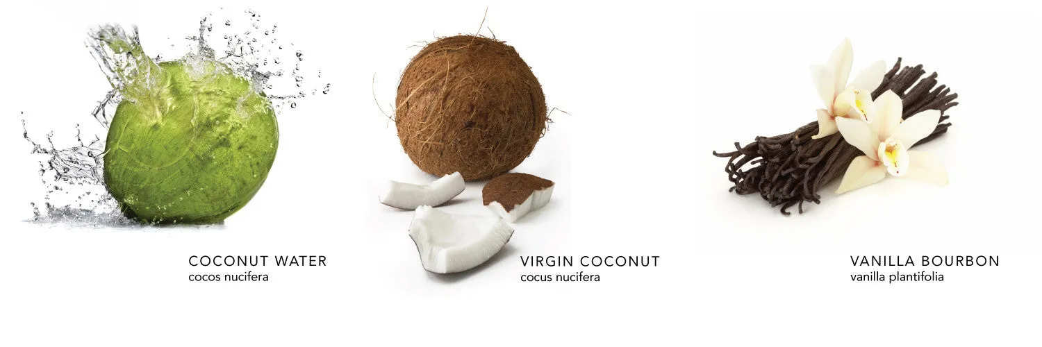 Coconut Créme Body Oil