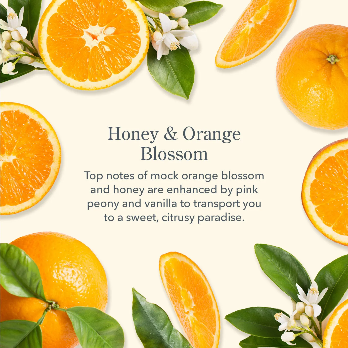 Honey & Orange Blossom Mini Hand Cream Set of 3