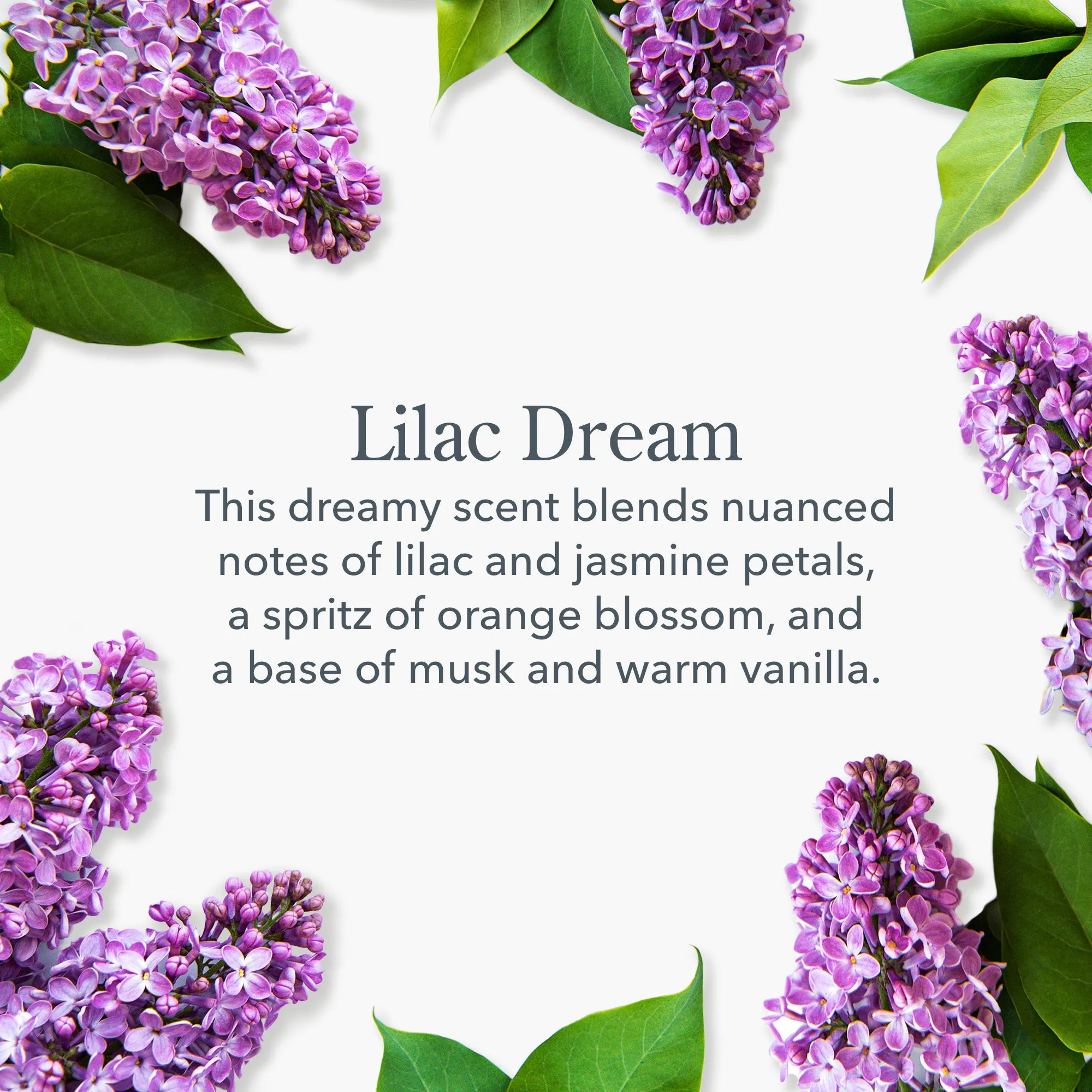 Lilac Dream Hand & Body Wash